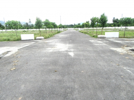 5) Li Id 232 - Avenue Plantation.JPG